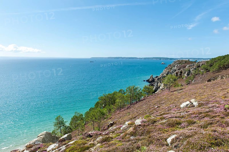 Rocky coast