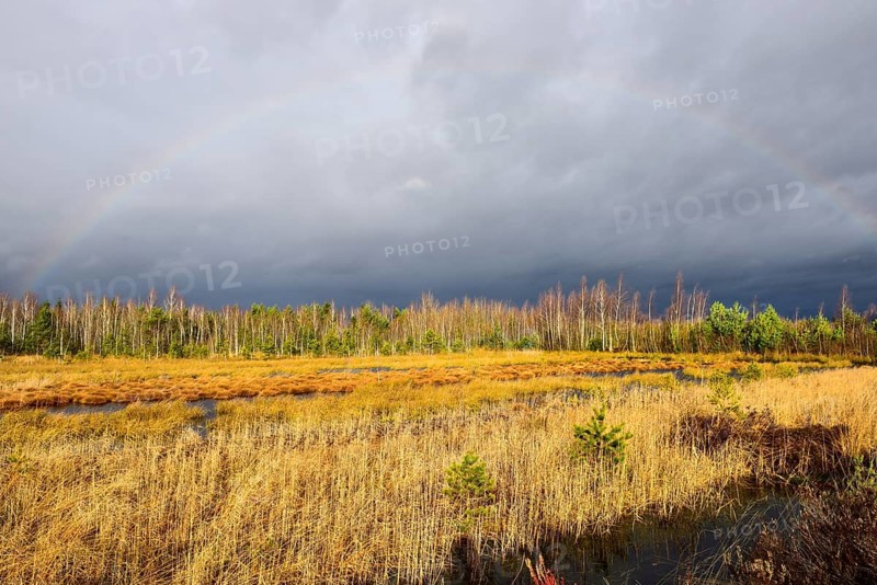 Autumn storm with rainbow in moor landscape