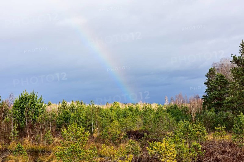 Autumn storm with rainbow in moor landscape