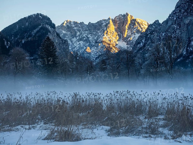 Winter landscape in the fog