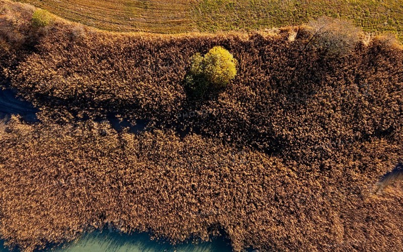Drone image