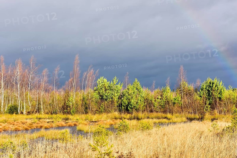 Autumn storm with rainbow in moor landscape