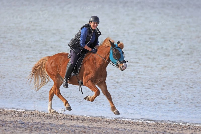 Female rider with Icelandic horse