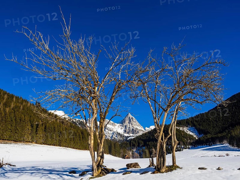 Admonter Kaibling in the Gesaeuse National Park
