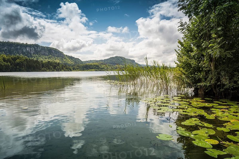 lake scenery