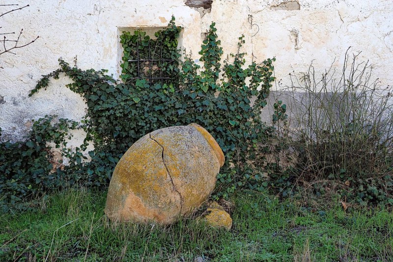 Clay amphora in front of house wall with ivy