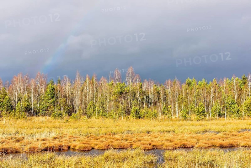 Autumn storm with rainbow in moor landscape