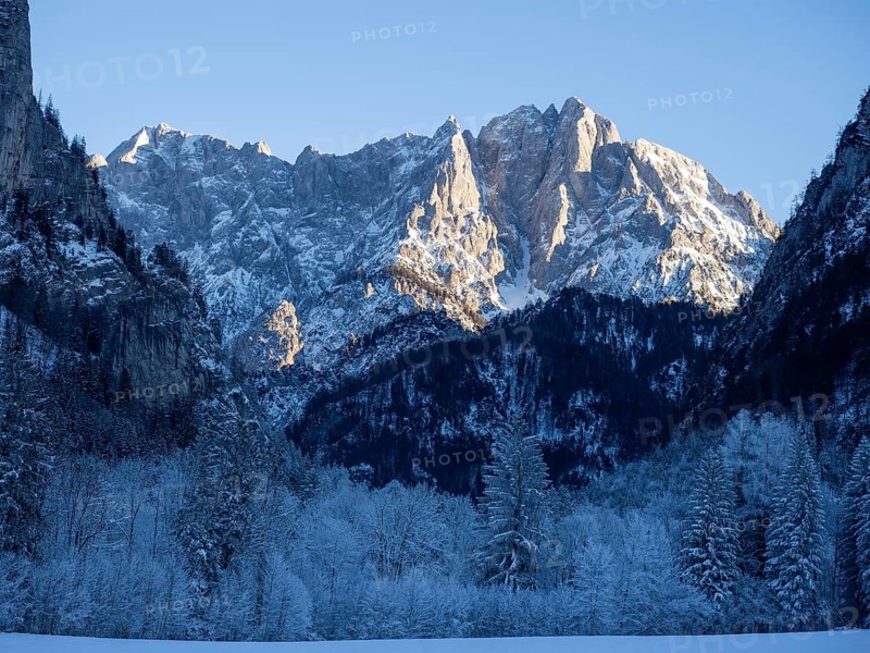Winter landscape