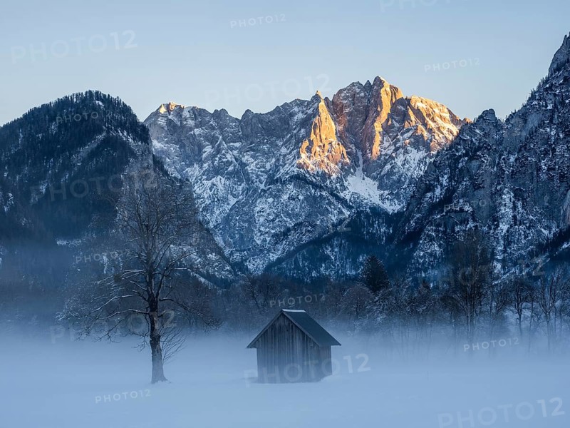 Winter landscape in the fog