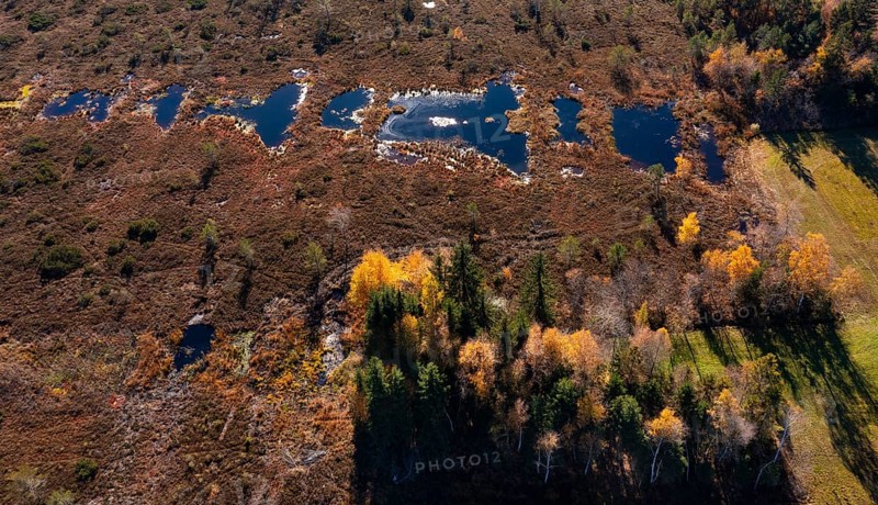 Drone image