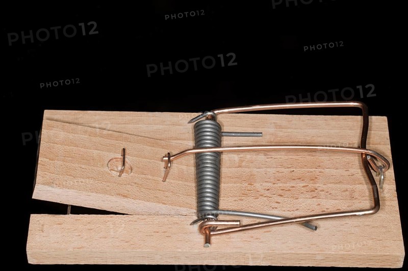 Rat trap