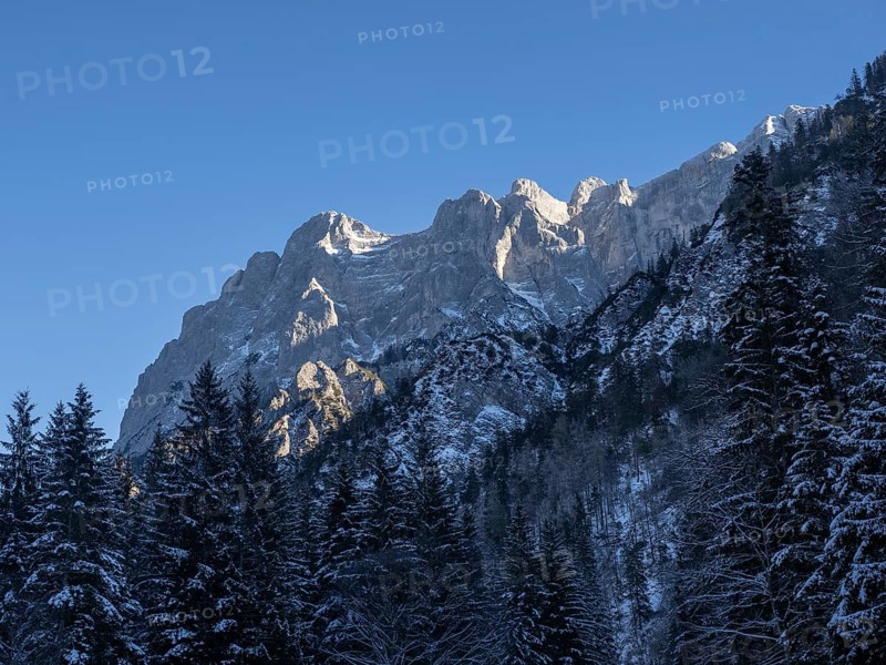 Winter landscape