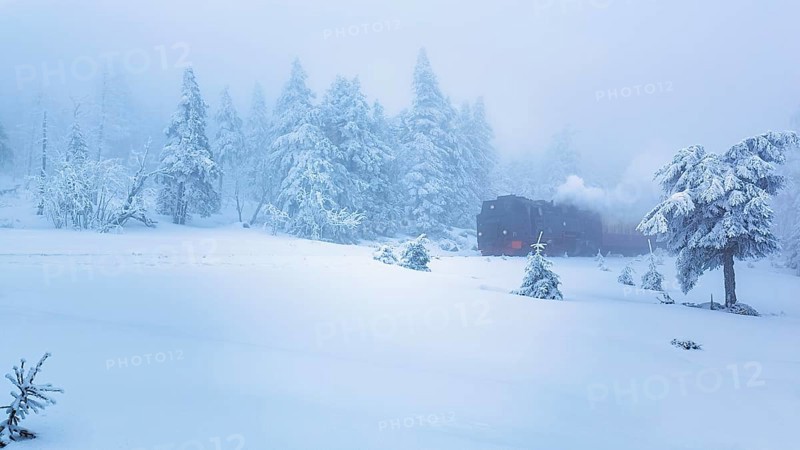 Brockenbahn in snowy landscape