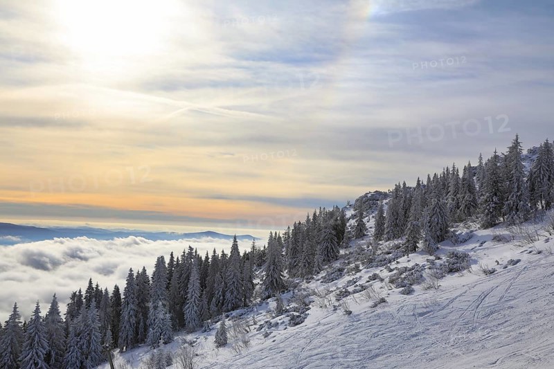 Snowy landscape