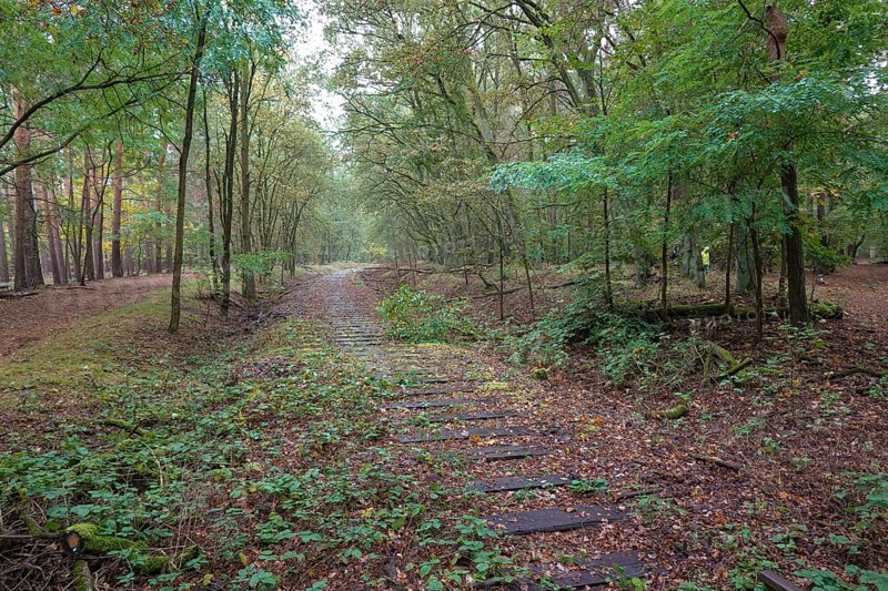 Old railway line of the Boetzowbahn
