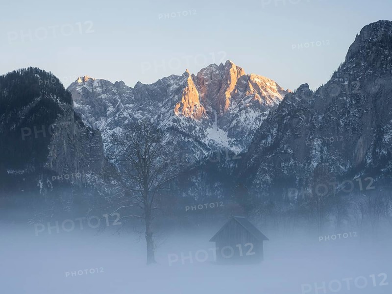 Winter landscape in the fog
