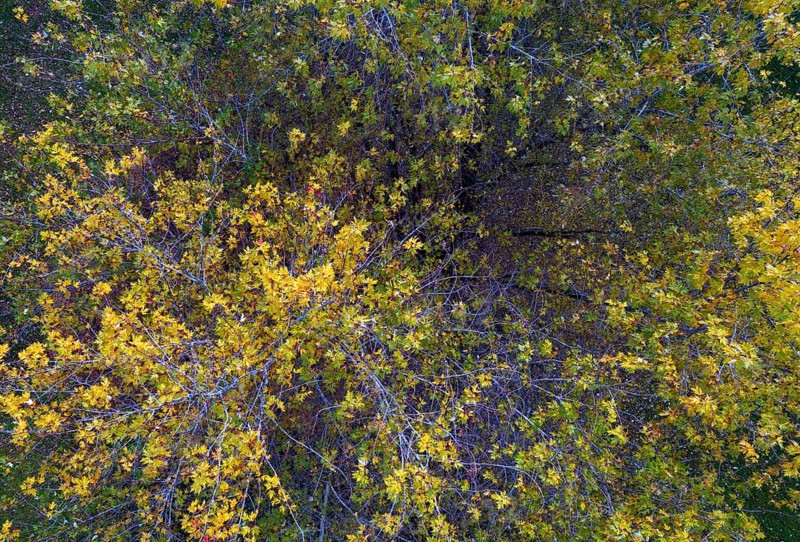 Drone image
