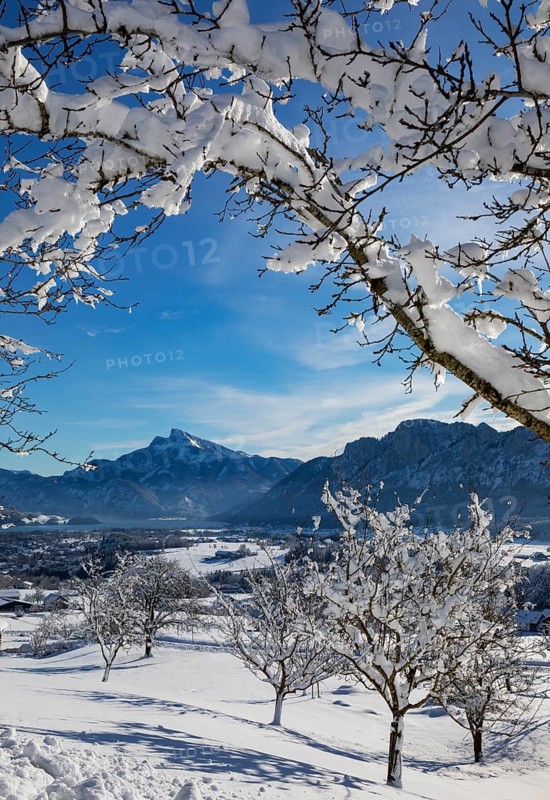 View of snow-covered Mondseeland with Schafberg and Drachenwand