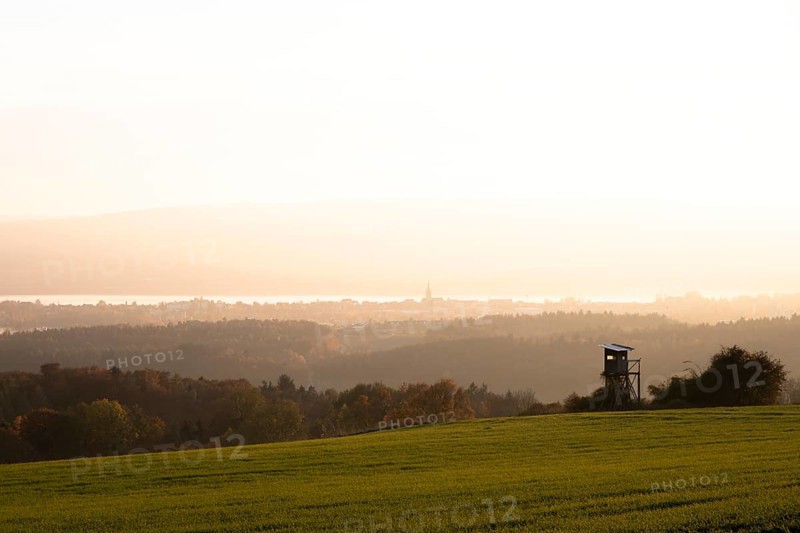 forest near Liggeringen