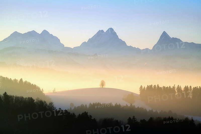 Winter landscape