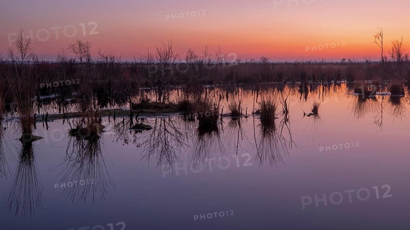 Goldenstedt Moor