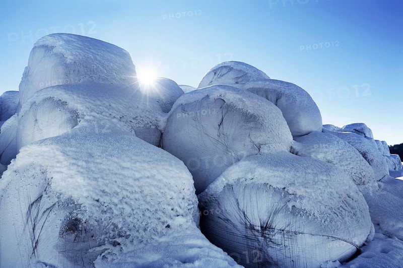 Snow-covered silage bales near Nellenbruck