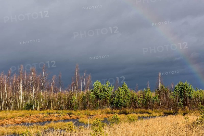 Autumn storm with rainbow in moor landscape