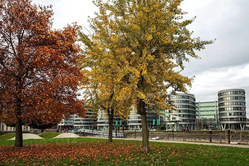 Garden of Memories with Five Boats office building