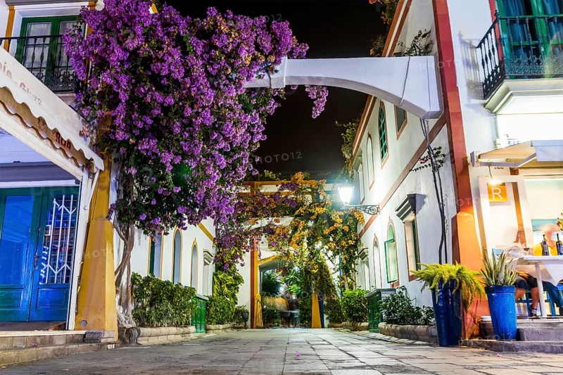 Charming blooming flowers on narrow streets of Puerto de Mogan