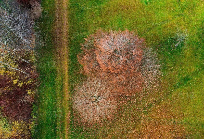 Drone shot