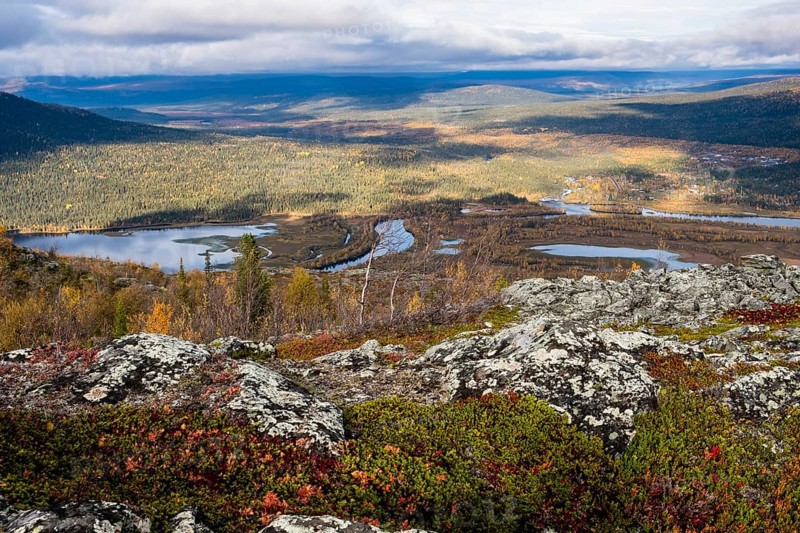 Autumn landscape