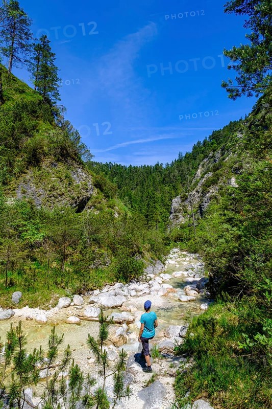 Aschauer creek