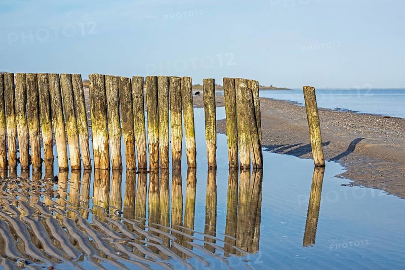 Buhne am Strand