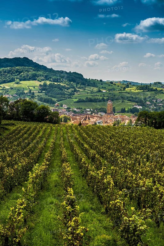 Arbois