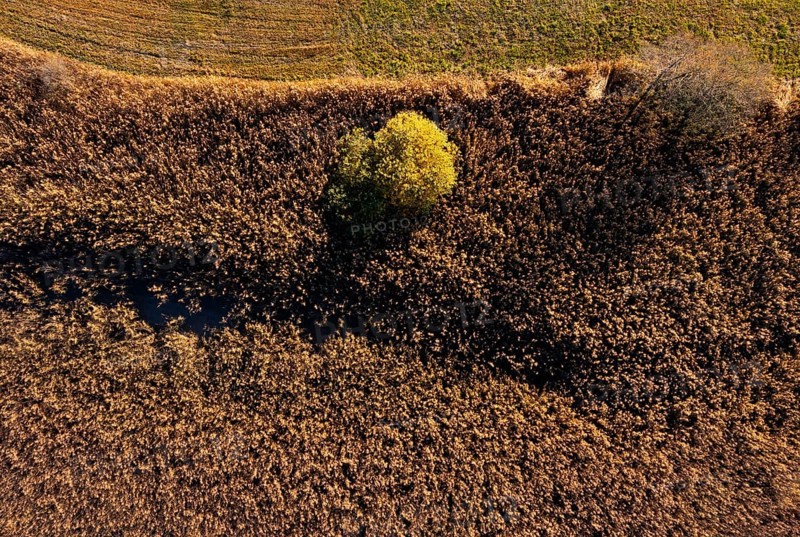 Drone image