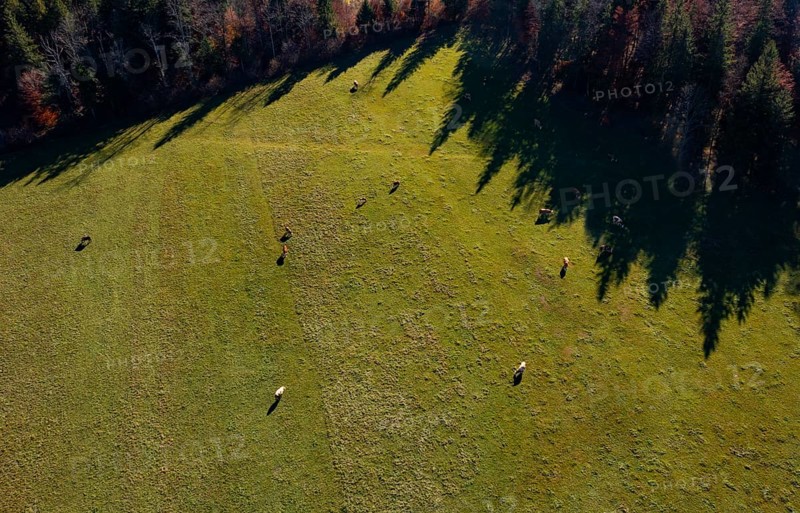 Drone image