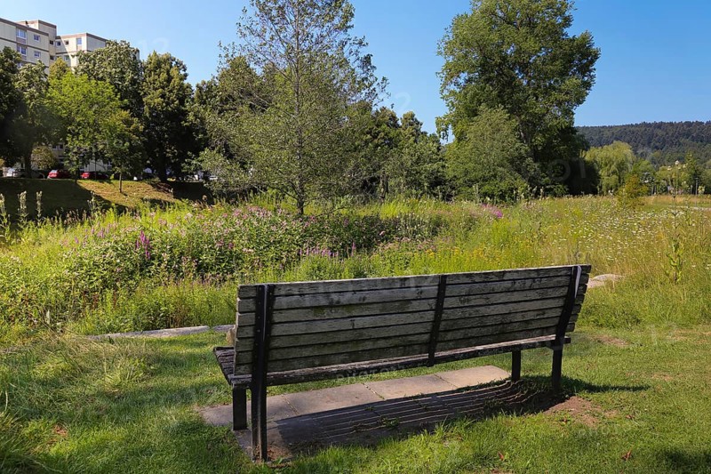 Wooden bench in the Donaupark