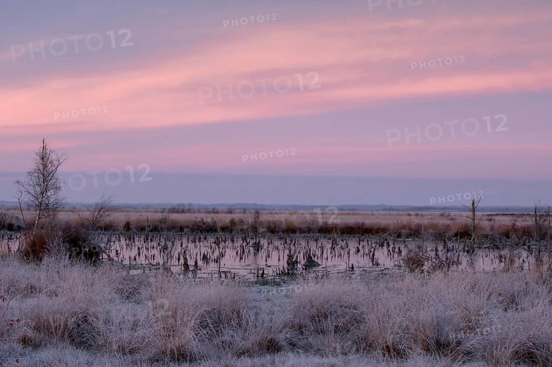 Goldenstedter Moor
