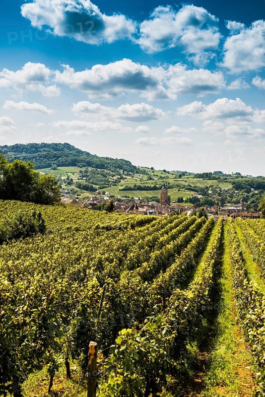 Arbois