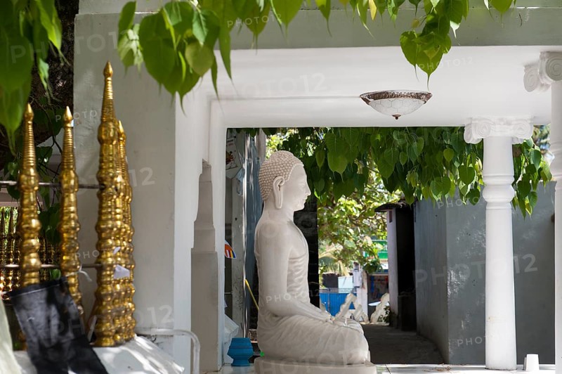 Buddhism