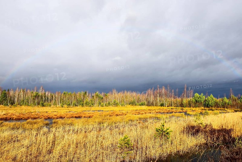 Autumn storm with rainbow in moor landscape