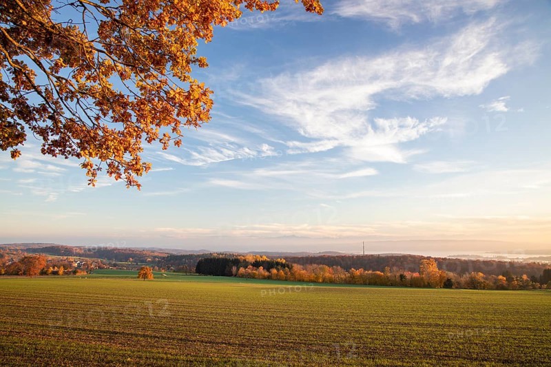 Colourful autumn colours in the forest near Liggeringen