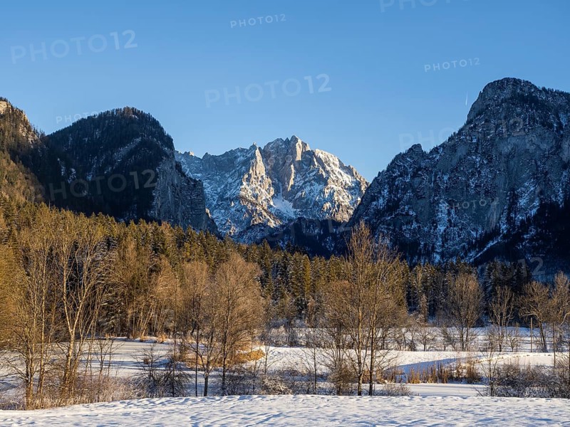 Winter landscape