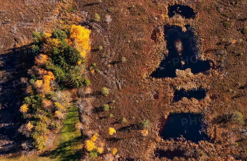 Drone image