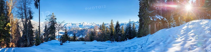 Winter landscape