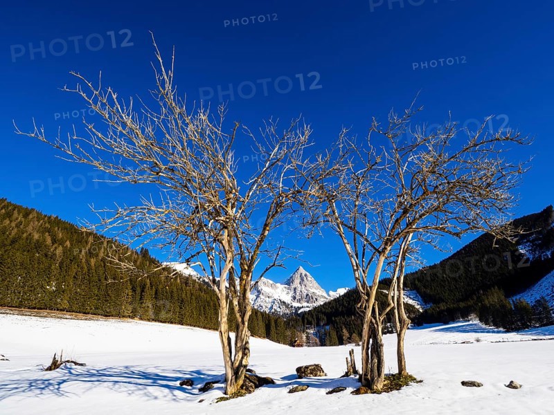 Admonter Kaibling in the Gesaeuse National Park