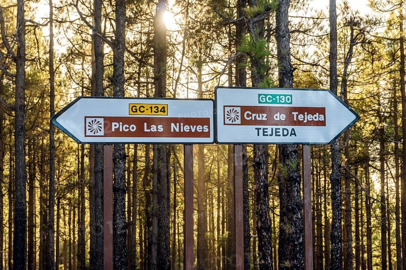Road crossing in the forest with signs indicating direction for famous places as the highest peak Pico Las Nieves and town of Tejeda