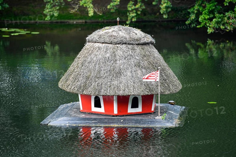Bird House