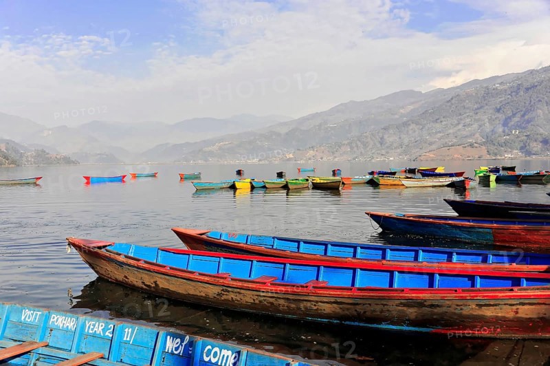 Rowing boats