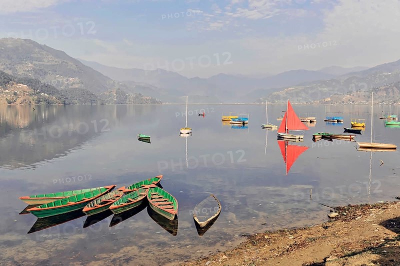 Rowing boats
